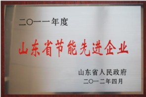 山东省节能先进企业